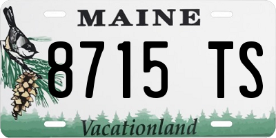ME license plate 8715TS