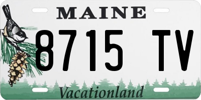 ME license plate 8715TV