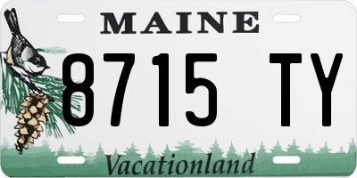 ME license plate 8715TY