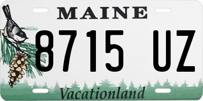 ME license plate 8715UZ