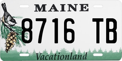 ME license plate 8716TB