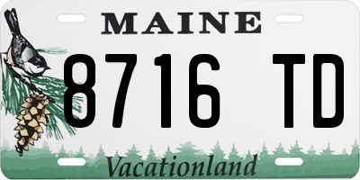 ME license plate 8716TD