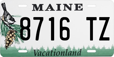 ME license plate 8716TZ