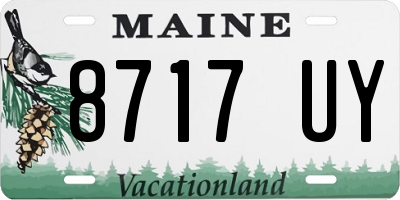 ME license plate 8717UY