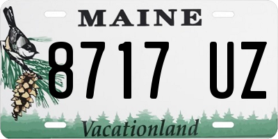 ME license plate 8717UZ