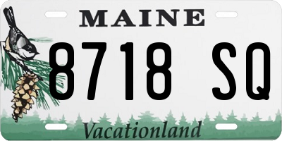 ME license plate 8718SQ