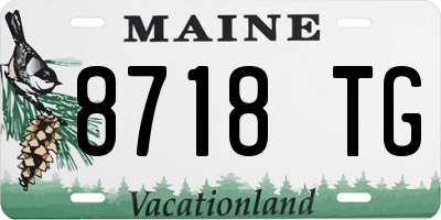 ME license plate 8718TG