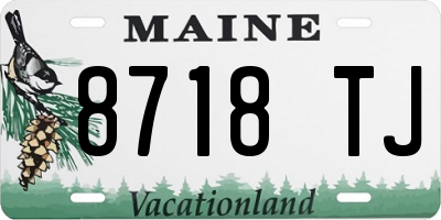 ME license plate 8718TJ