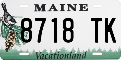 ME license plate 8718TK
