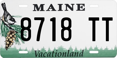 ME license plate 8718TT