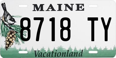 ME license plate 8718TY