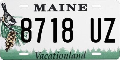 ME license plate 8718UZ