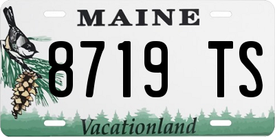 ME license plate 8719TS