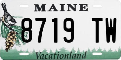 ME license plate 8719TW