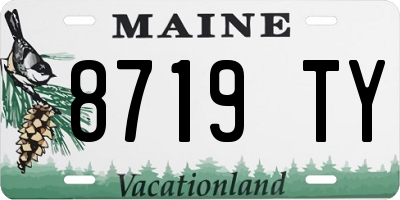 ME license plate 8719TY