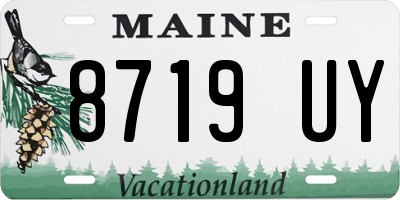 ME license plate 8719UY