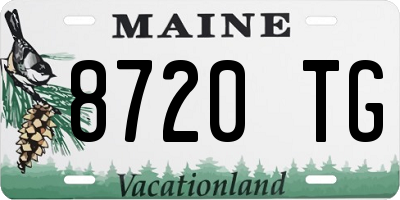 ME license plate 8720TG