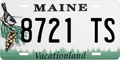 ME license plate 8721TS