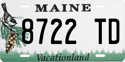 ME license plate 8722TD