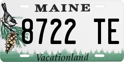 ME license plate 8722TE