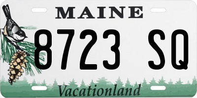 ME license plate 8723SQ