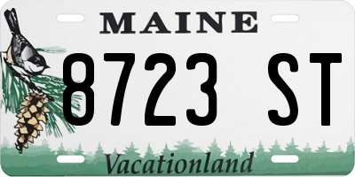 ME license plate 8723ST