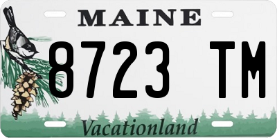 ME license plate 8723TM