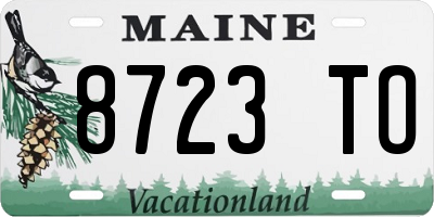 ME license plate 8723TO