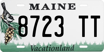 ME license plate 8723TT