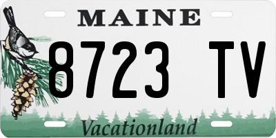 ME license plate 8723TV