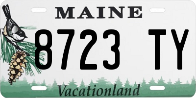 ME license plate 8723TY