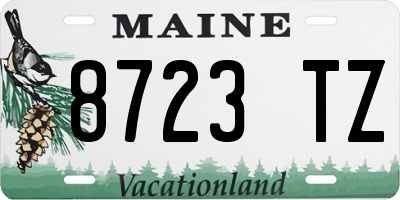 ME license plate 8723TZ