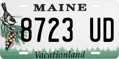 ME license plate 8723UD