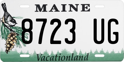 ME license plate 8723UG