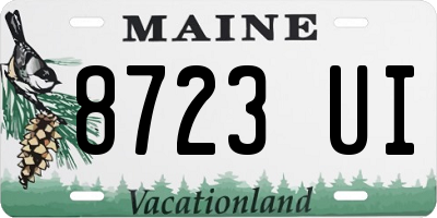 ME license plate 8723UI