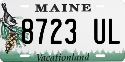 ME license plate 8723UL