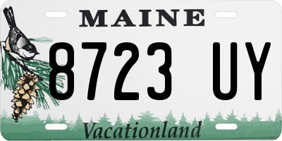 ME license plate 8723UY