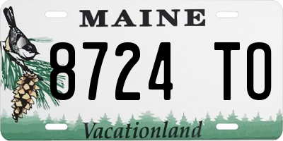 ME license plate 8724TO