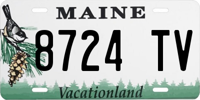 ME license plate 8724TV
