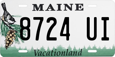 ME license plate 8724UI