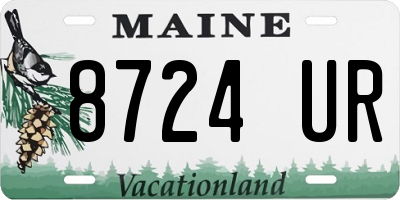 ME license plate 8724UR