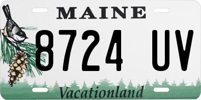 ME license plate 8724UV