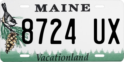 ME license plate 8724UX