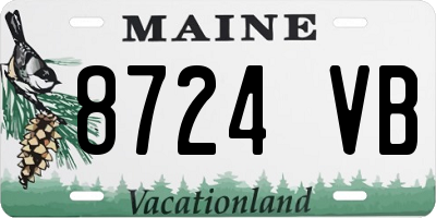 ME license plate 8724VB