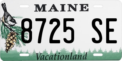 ME license plate 8725SE