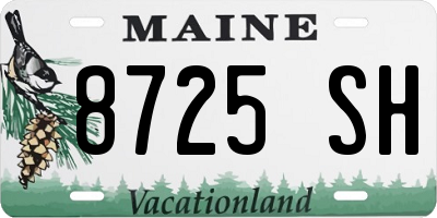 ME license plate 8725SH