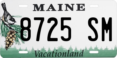 ME license plate 8725SM