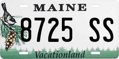 ME license plate 8725SS
