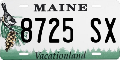 ME license plate 8725SX