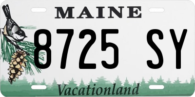ME license plate 8725SY